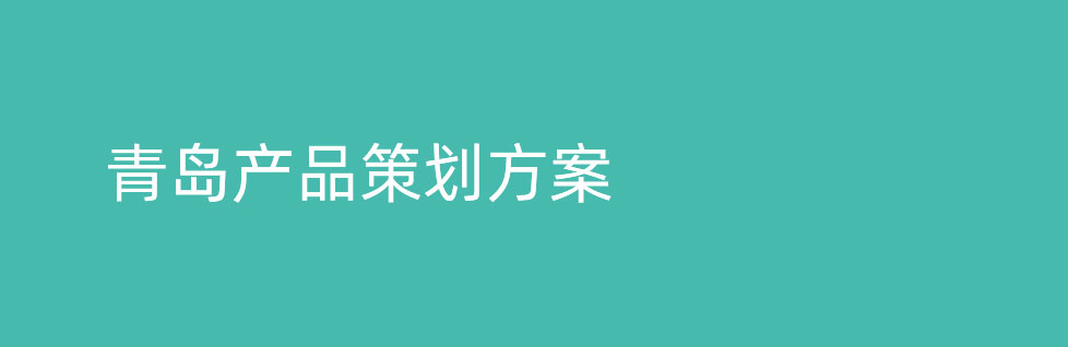 青岛产品策划方案的具体内容