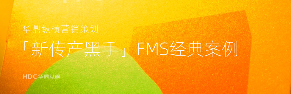 「新传产黑手」FMS案例logo设计解析