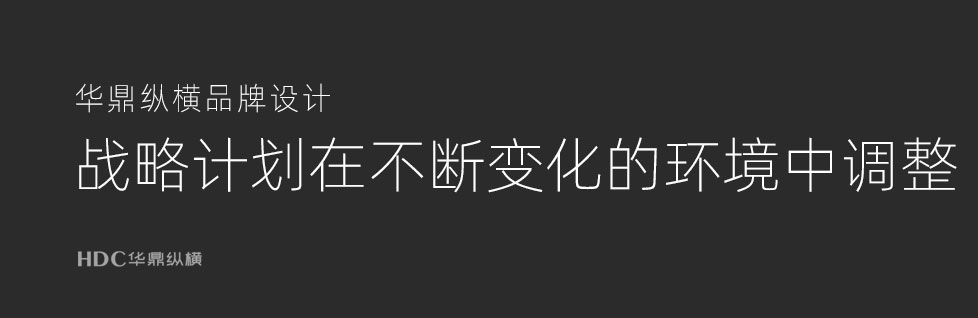 华鼎公司战略规划重点的专题解读